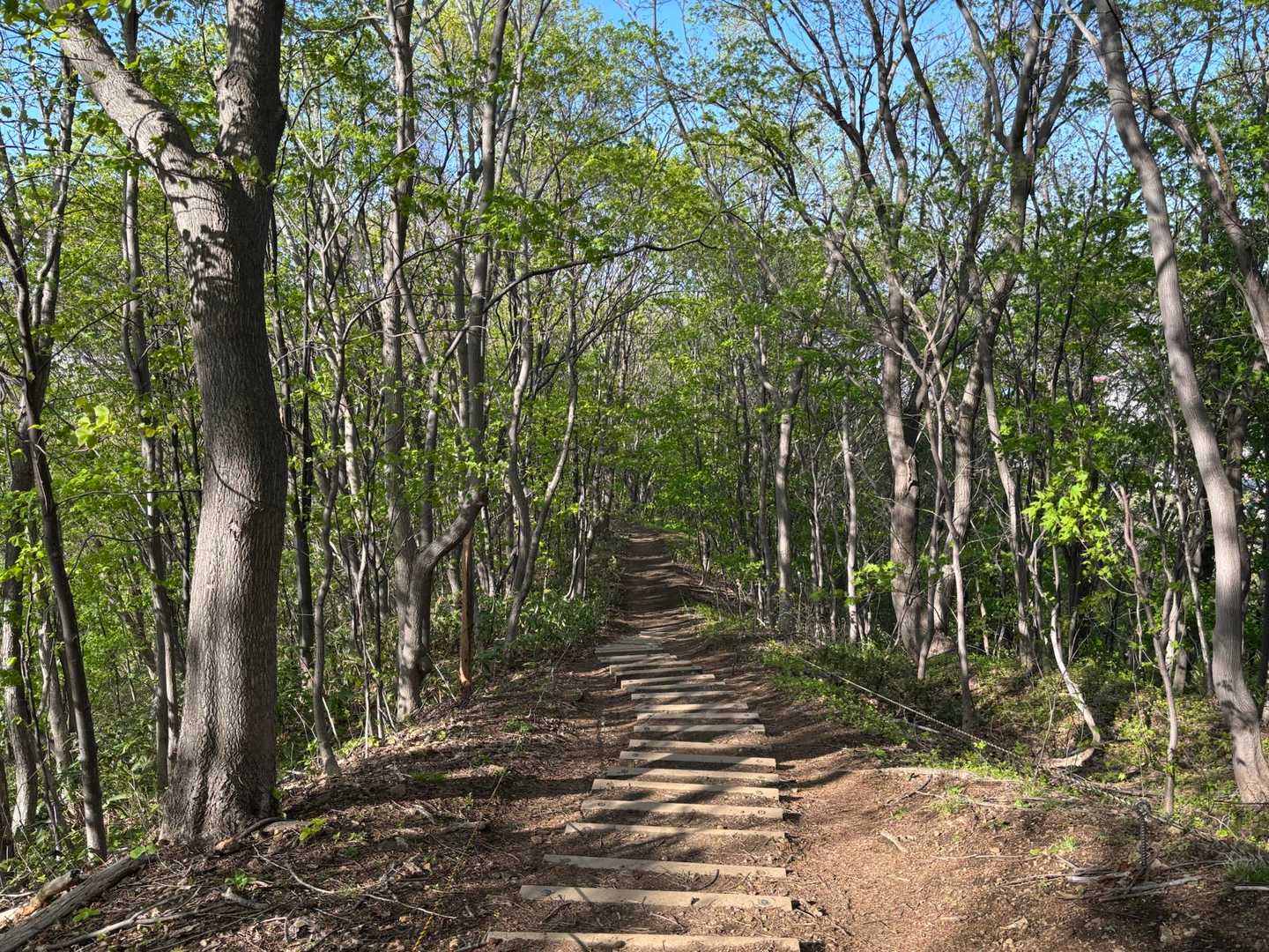 なんかずっと黄昏ていたい。そんな三角山でした♪