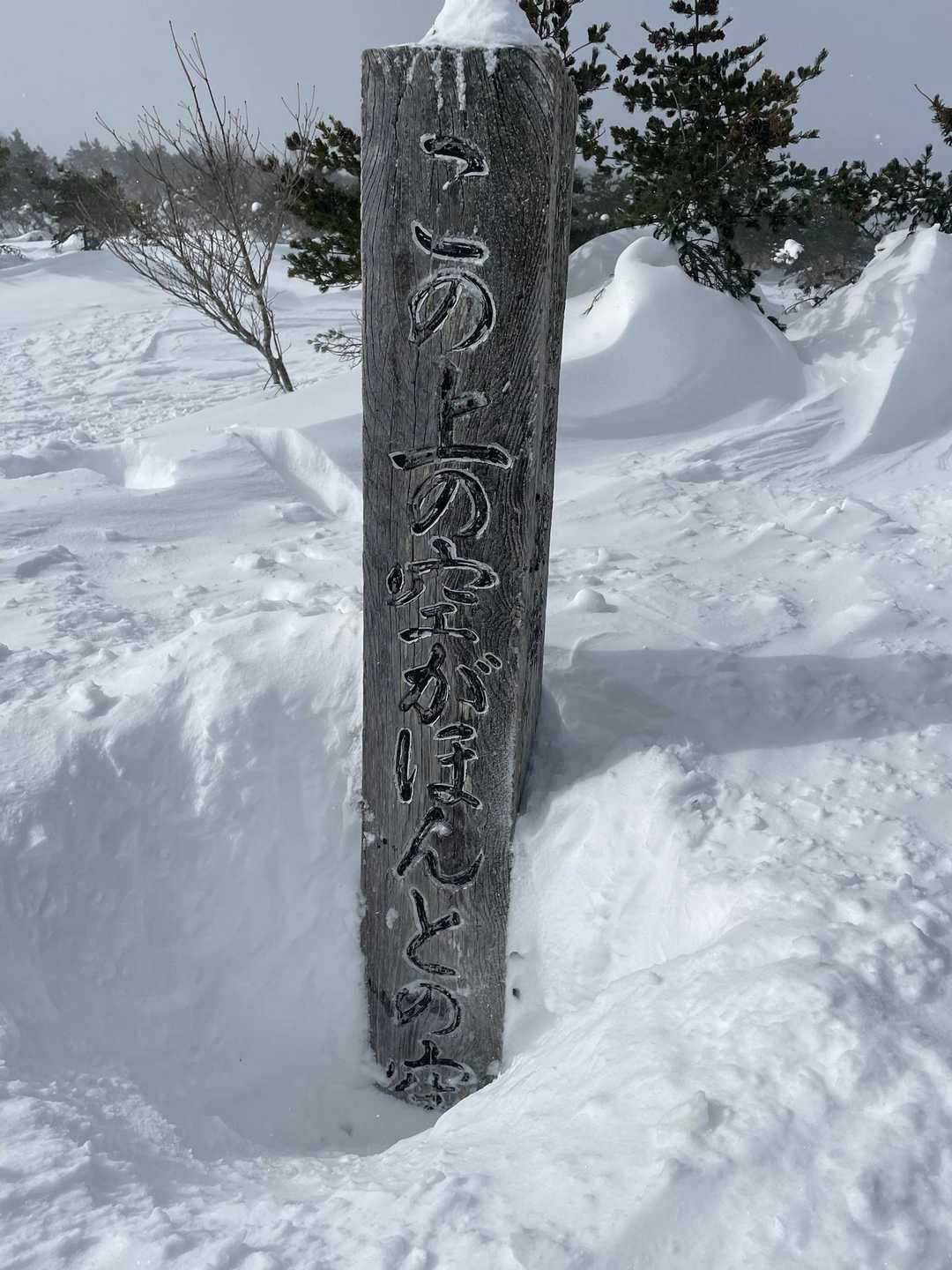 奥岳登山口-薬師岳 往復コースの写真