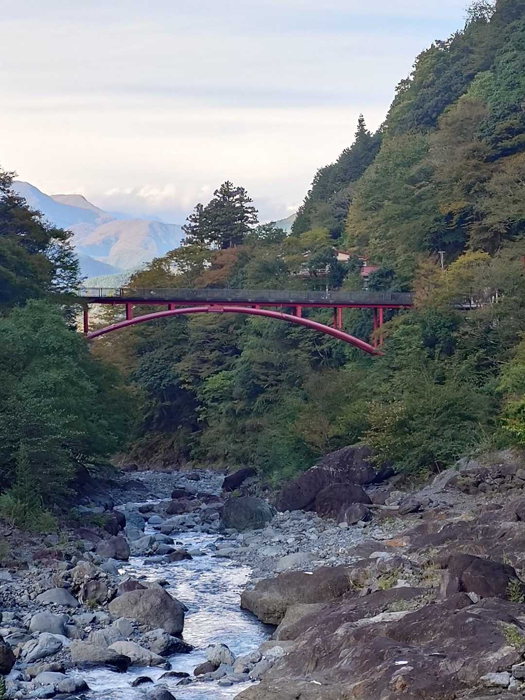 なんとも良い景色😊