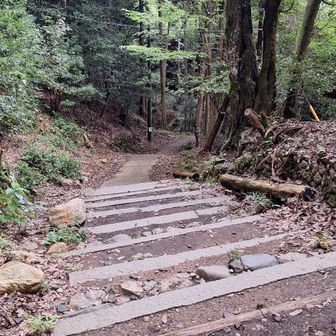 参道歩きの始まりは舗装路、その後は階段になります👍