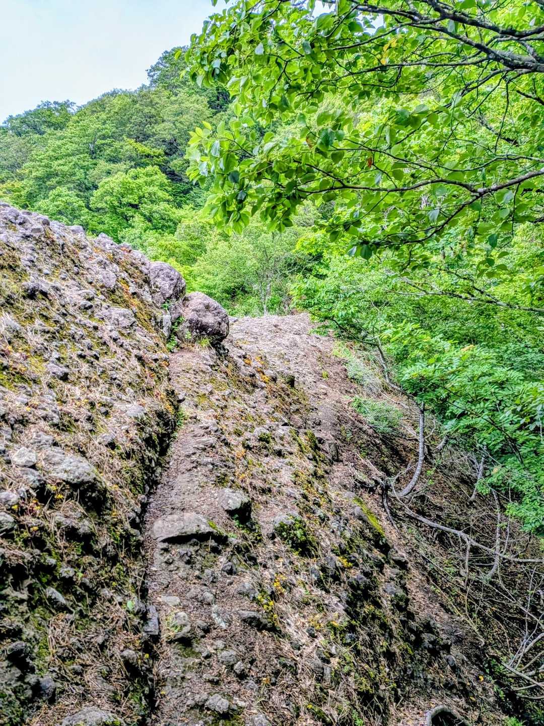 青葉山 縦走コースの写真