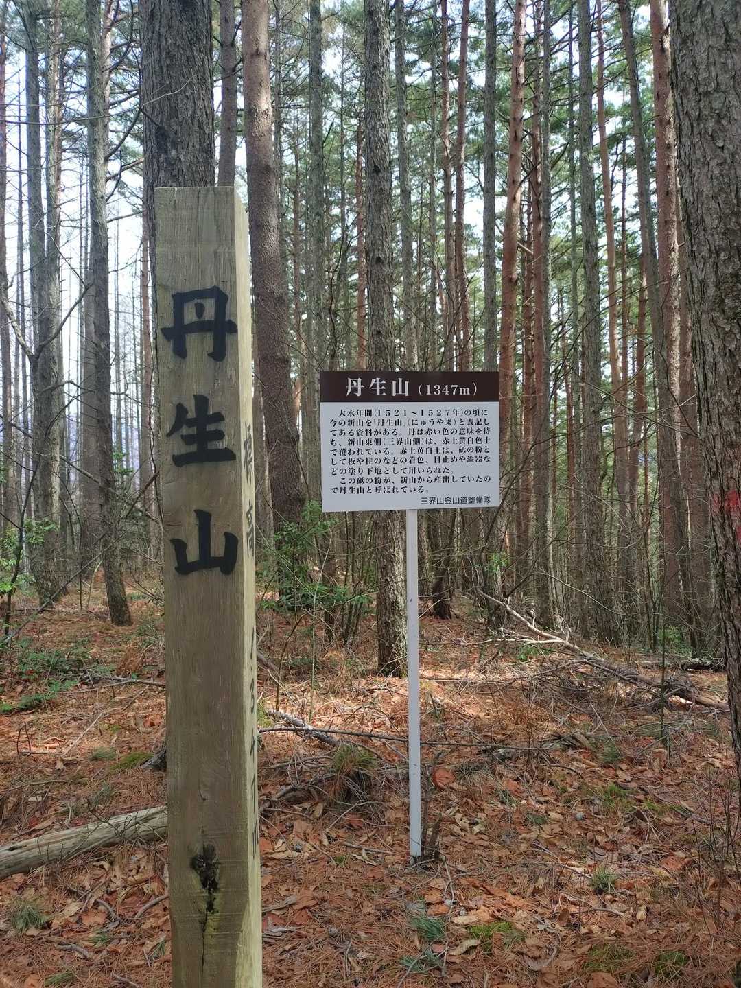 新山登山口-三界山-山の神 往復コースの写真
