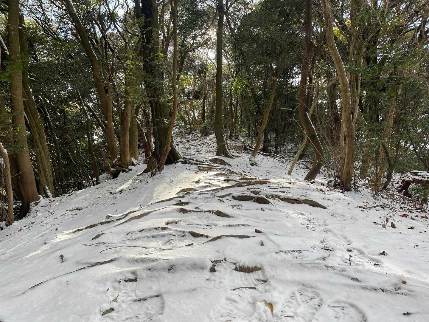 清水山 往復コースの写真