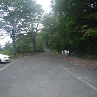 第一駐車場はスカスカでした