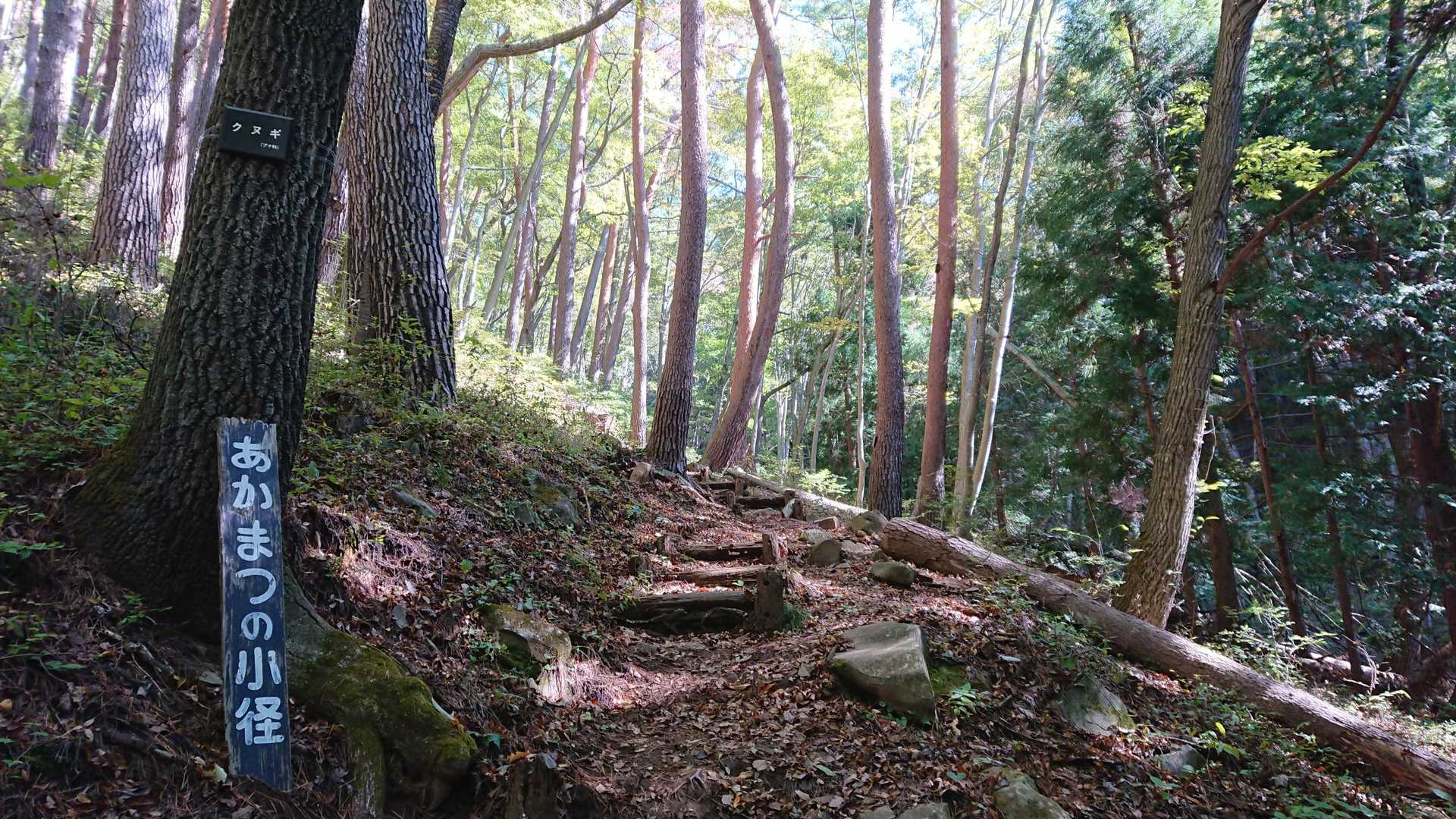 ここからは赤まつの小径