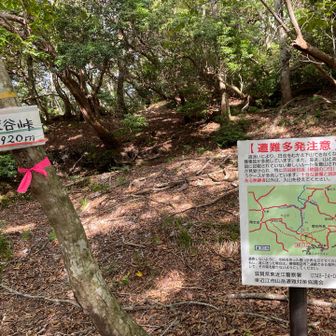 ここは道迷いポイントでもあり⚠️
降りでここを通過した時、違う方向への踏み跡を進んだけど、すぐに復帰👍