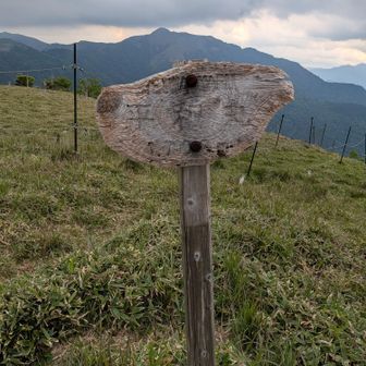 平和丸山頂！