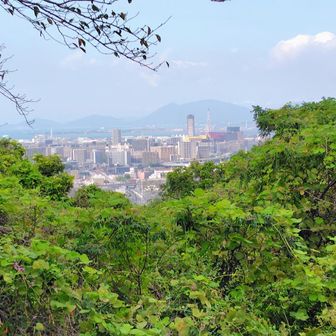 市街地が一望できます🏙️