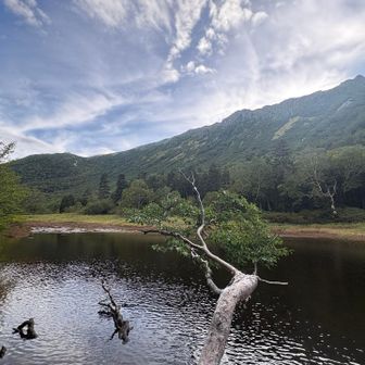 ちょっと寄り道