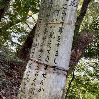 心こらして 耳をすまして...

忘れていたことを 思い出させてくれる
言葉のような気がします...🍀