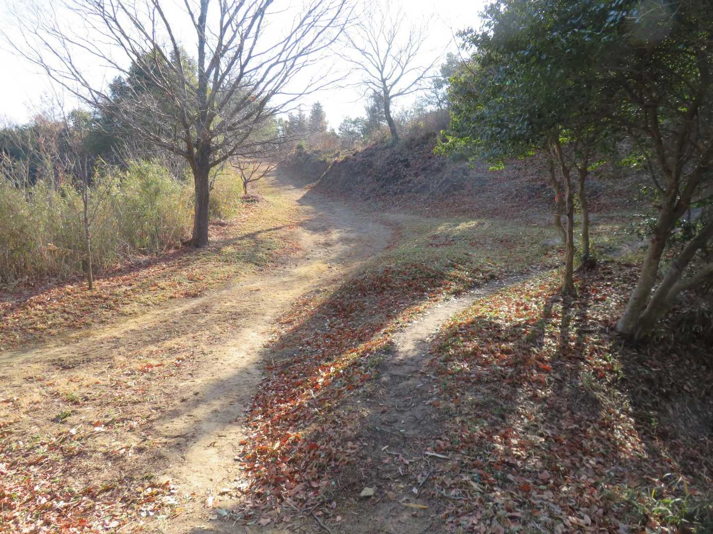 登山道か林道か、どっちにする？
