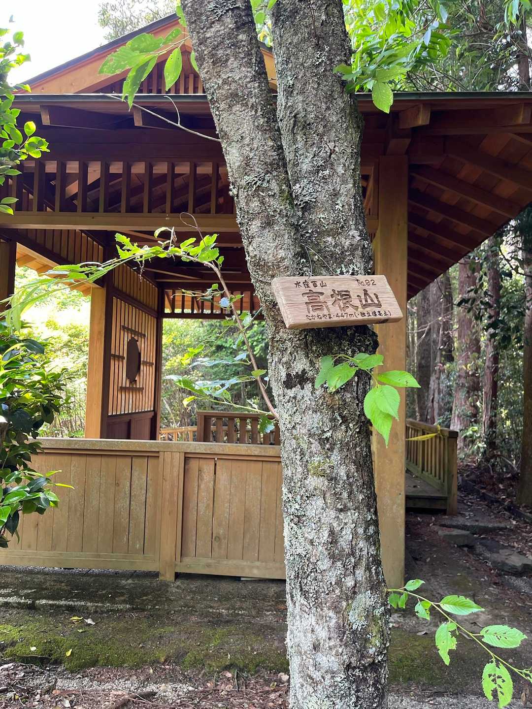せっかくなのでピークハントも。山頂の東屋でお昼を食べました。