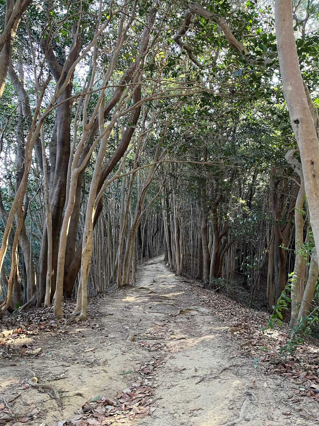 好きな道🚶‍♀️😁