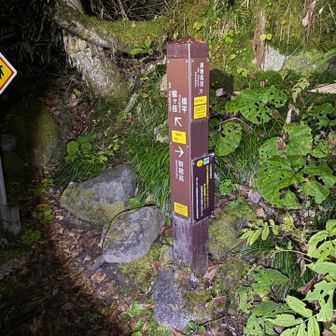奥穂高への分岐