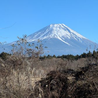 東海自然歩道まで下りて来ました！
最後の1枚
駐車場は直ぐです
満腹した絶景の富士山に感謝感謝💯😍🤩💓