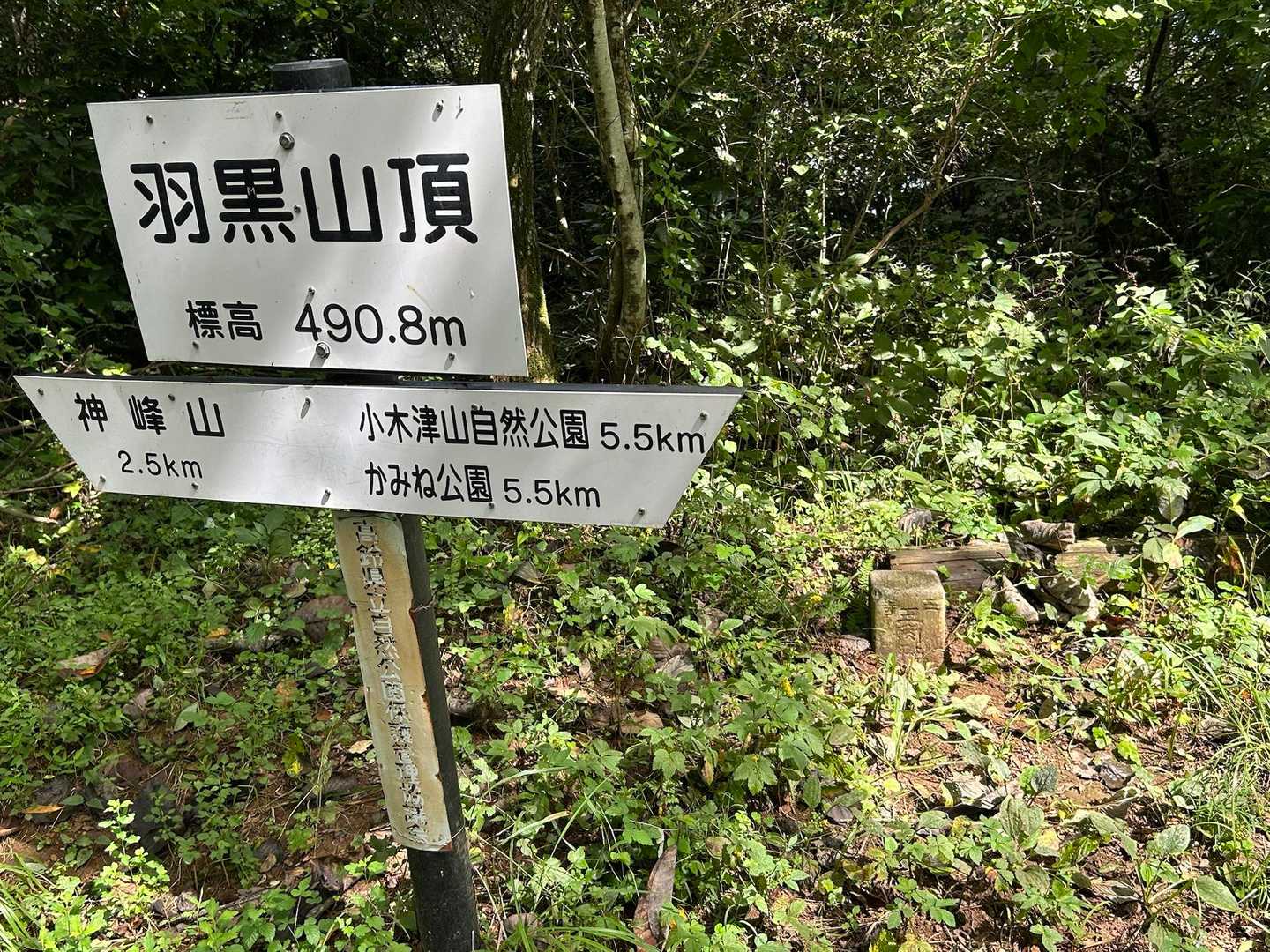山頂手前の登り坂
今日はクモの巣たくさんグルグルしながら歩いたのでゆっくり歩いたら疲れなかったよ😁
3等三角点　垰