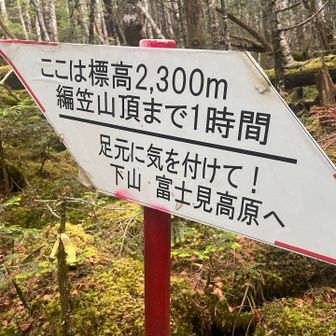 ダラダラ登る