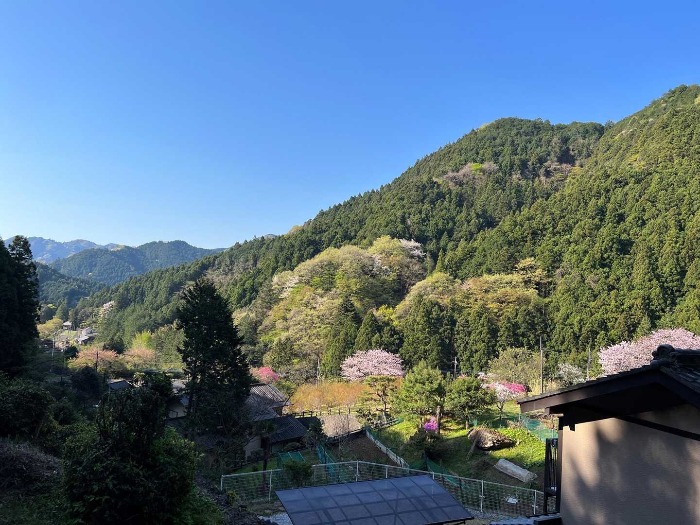 正丸駅-ツツジ山-刈場坂峠-二子山-虚空蔵峠-旧正丸峠 周回コースの写真