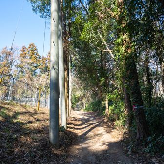 鉄塔を過ぎて右手に