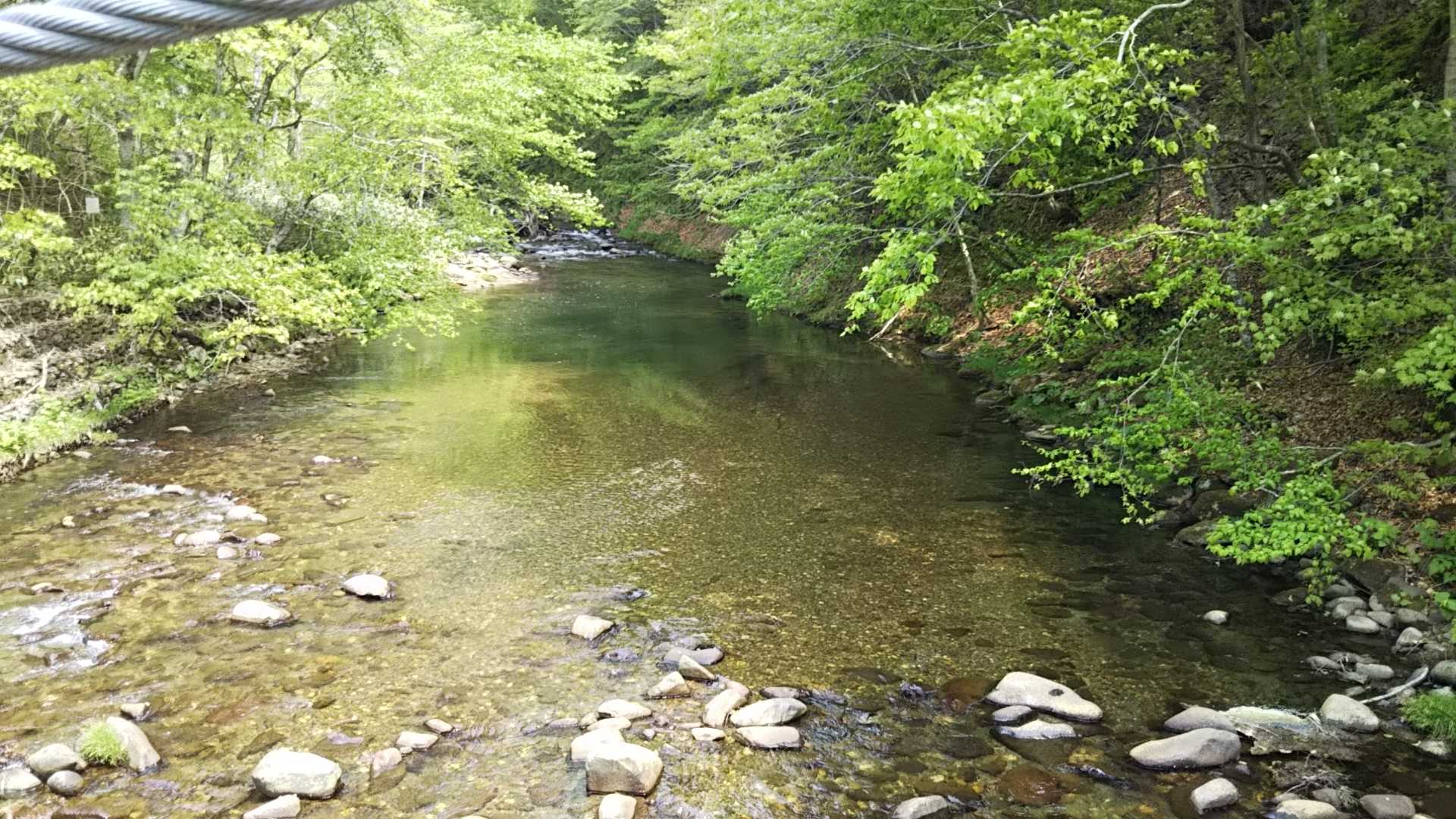 今日の沢