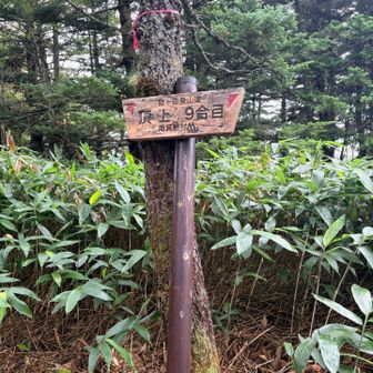 ん？？？？？
ここが『大泉山』かな？
山看板無し
