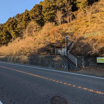 下山。この後、竜泉寺の湯 八王子みなみ野店に行くも駐車場で渋滞・停められず… おふろの王様 多摩百草店で疲れを癒やした

https://yamap.com/moments/1573762

