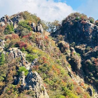 鎌尾根の紅葉も思っていたより色づいてる