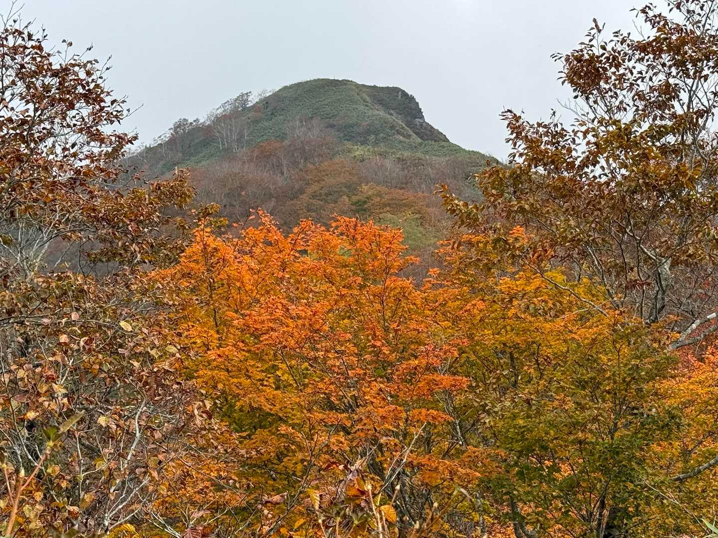 桧峠-大日ヶ岳登山道入口-水後山-鎌ヶ峰-大日ヶ岳 往復コースの写真