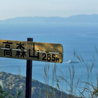 1年ありがとう👋