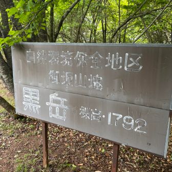 一回ピークを踏んでるので、そこまで辛くは無いが、テンション上がらず、地味にキツイ