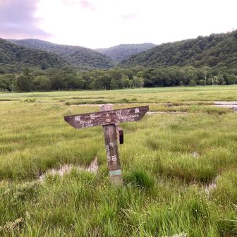 牛首
この後、小熊を発見💡