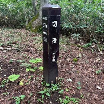 切接