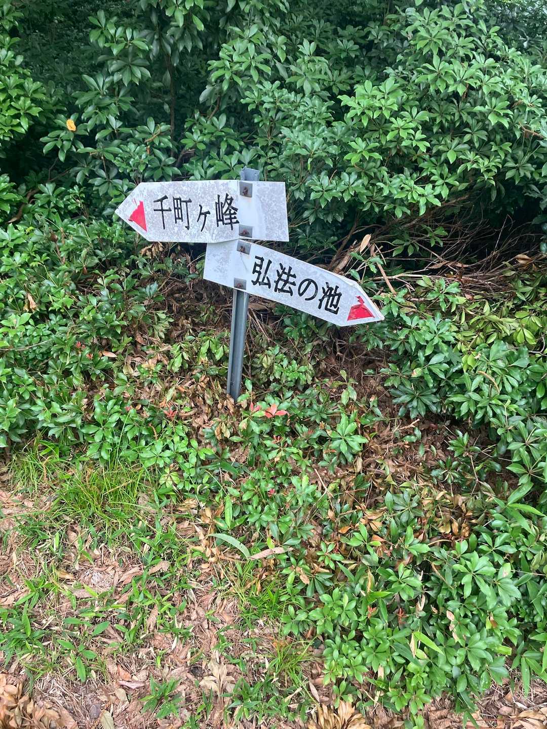 弘法の池へ