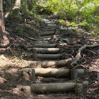 円良田城山への