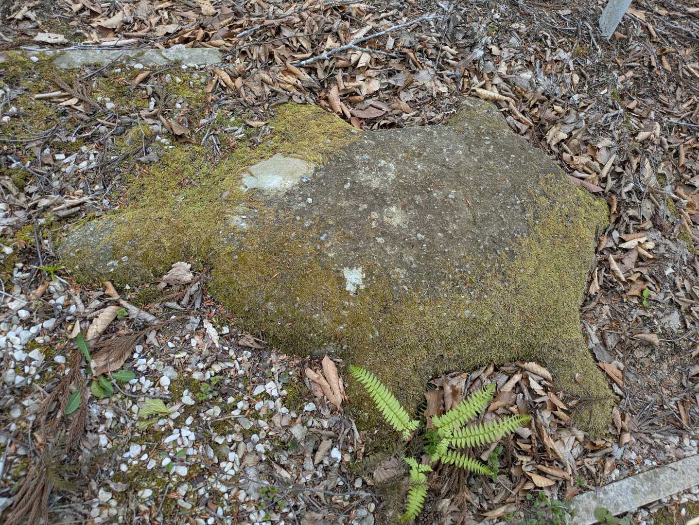 と思ったら…

昔住民の平穏安寧を願い刻まれた🐢
風化してしまい
先人の意を引き継ぐべく設置したとの事