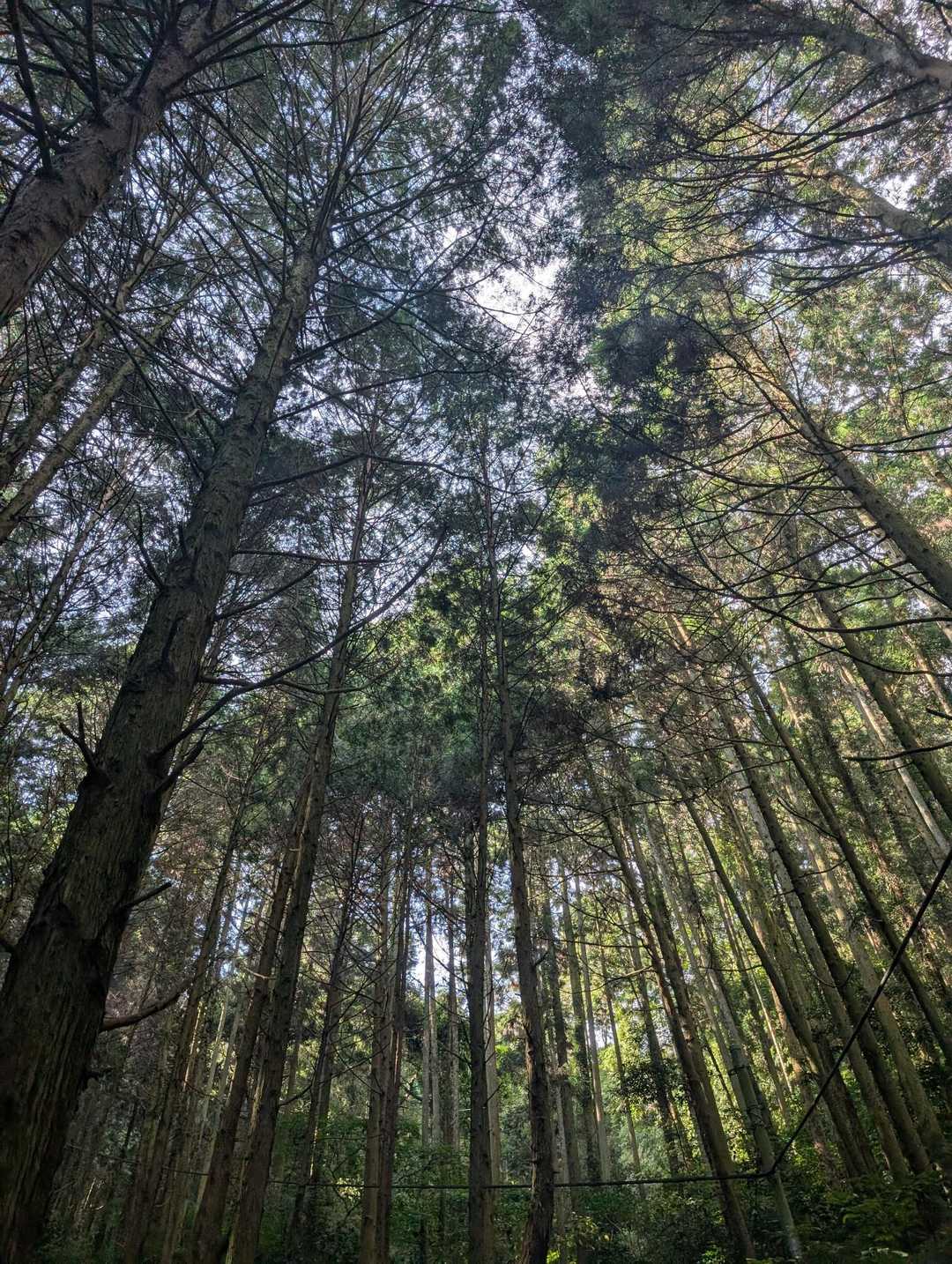 山道入口付近。
良い感じです😁
