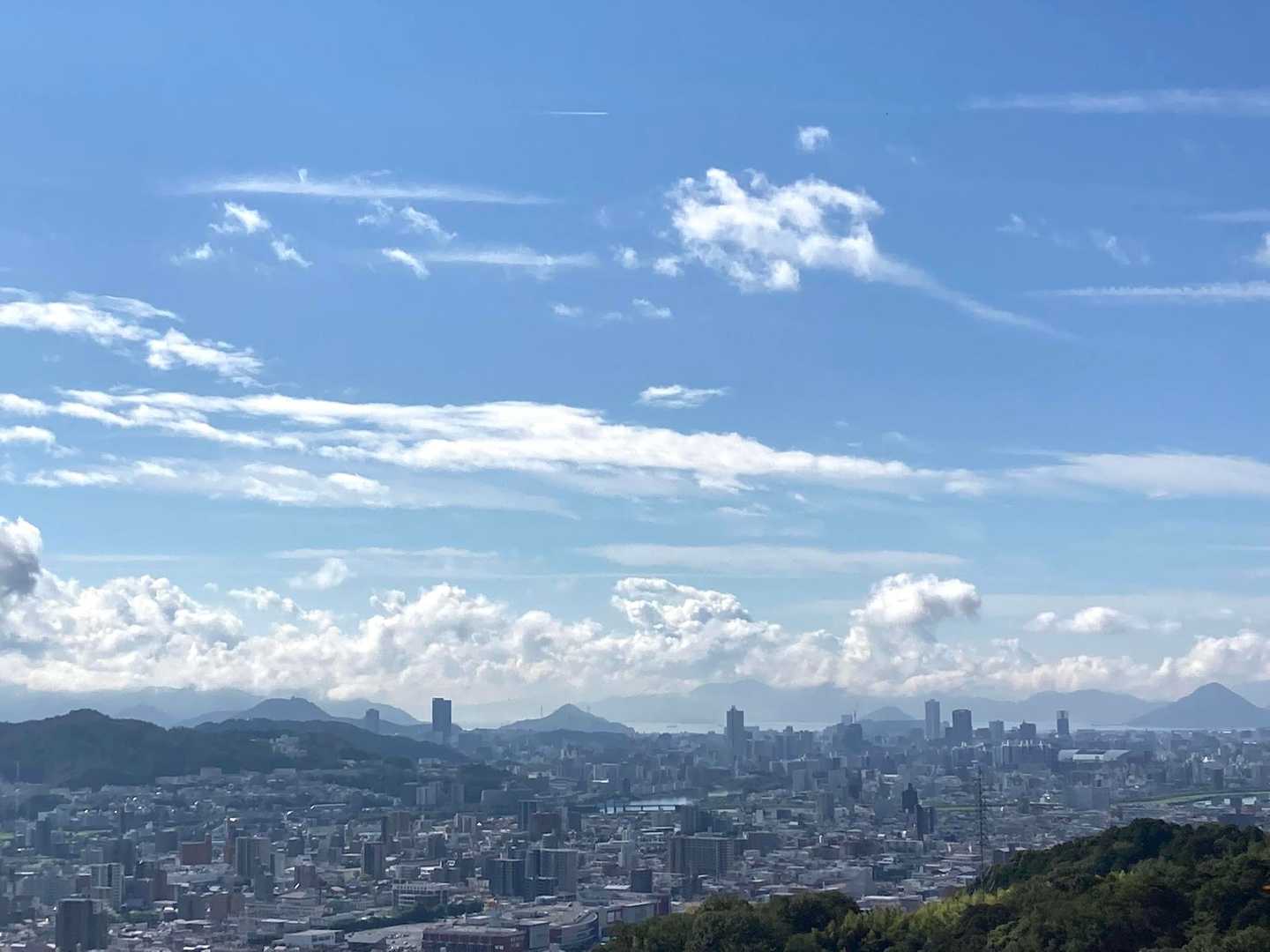 雨上がりで空気が澄んでますね。