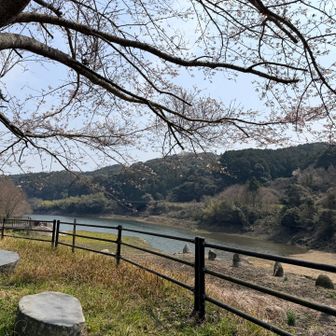 途中でお花見🌸
少し早いかな。