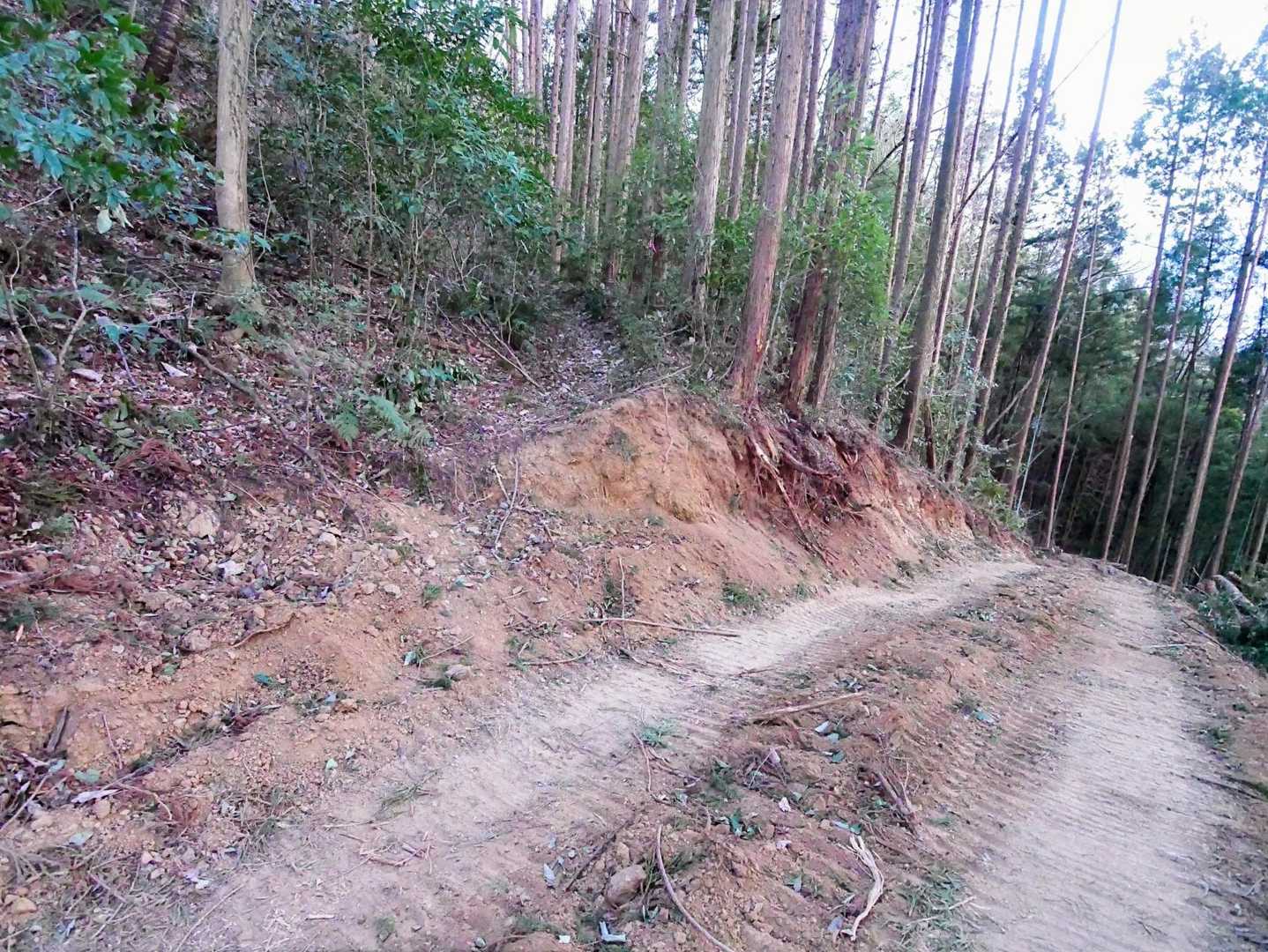 中央の細い道へ
