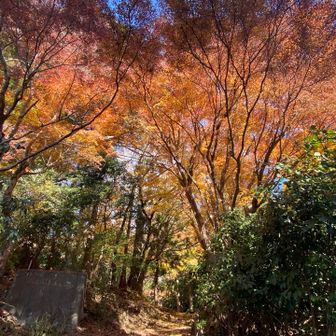 疲れも吹き飛ぶ✨️