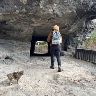 潜るよ〜
ねこ🐈ちゃんも行く？