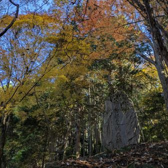 通りすがりの爺様にウンチクを披露される。