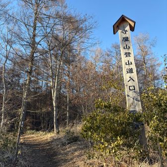 戻ってきました🚶‍♀️〜