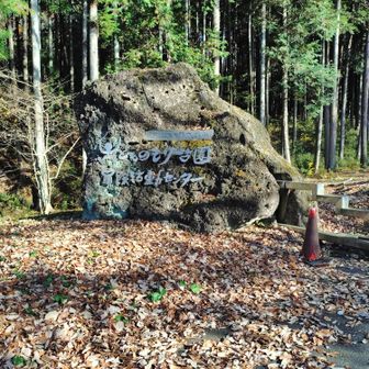 ここからスタートです
いい天気です