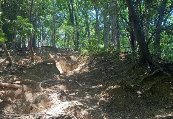 草戸山（東京・神奈川・364m）| 登山ルート・天気 | YAMAP / ヤマップ