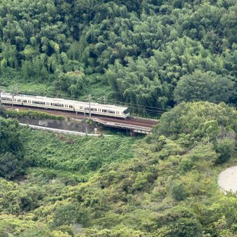ここから見える電車がジオラマのように見えます🚃