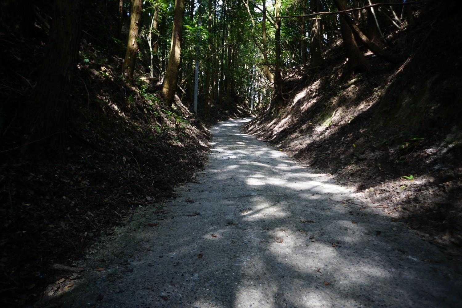 大根地神社-大根地山 往復コースの写真