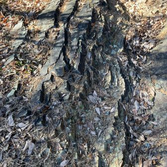 火山岩がゴツゴツ