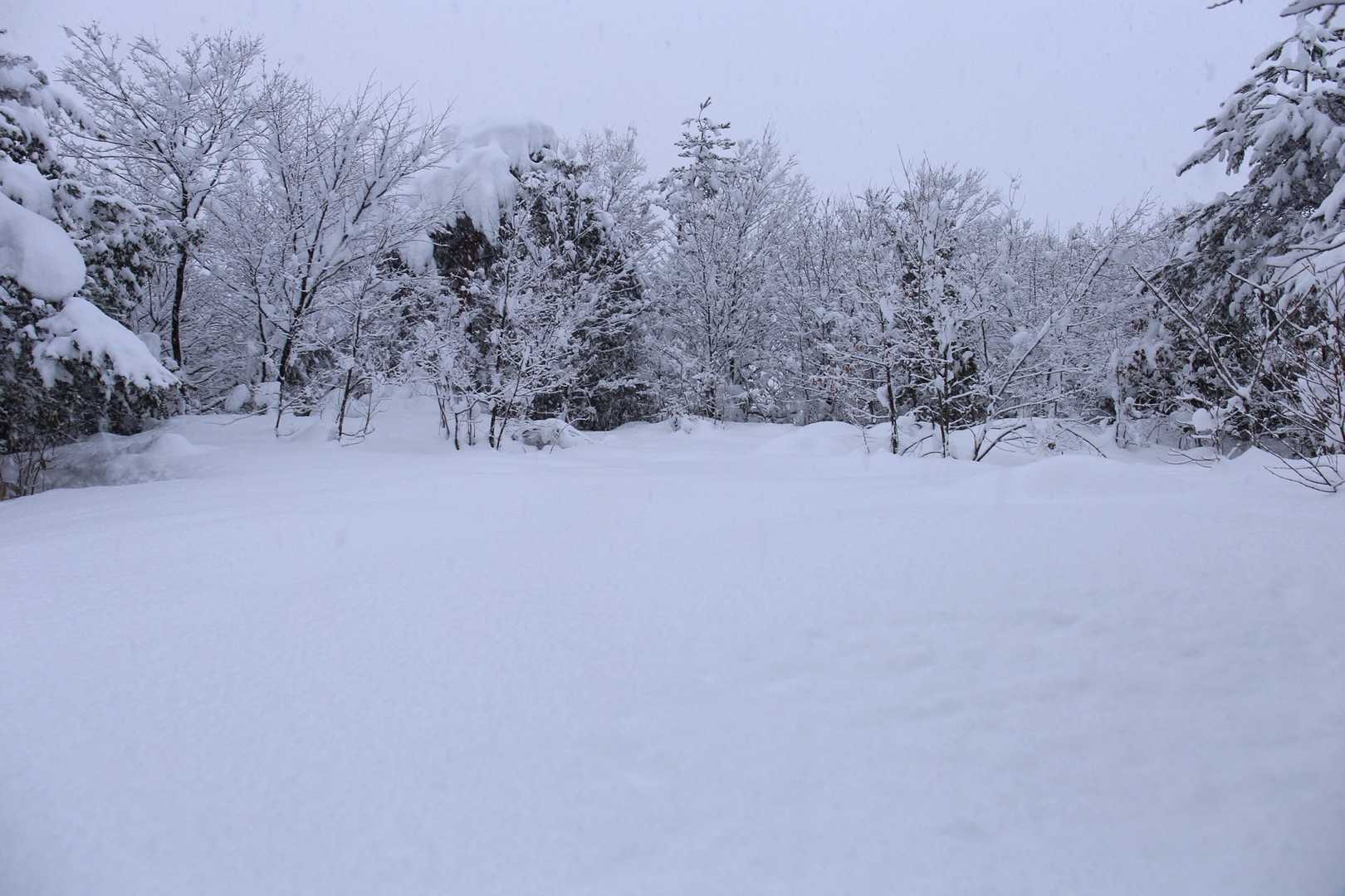 山頂広場は積雪1m超えにて、両手で雪をたたいて（トレッキングポールも持ってこなかった💦）そこに膝で上がる膝ラッセルを数歩体験🆕😊
