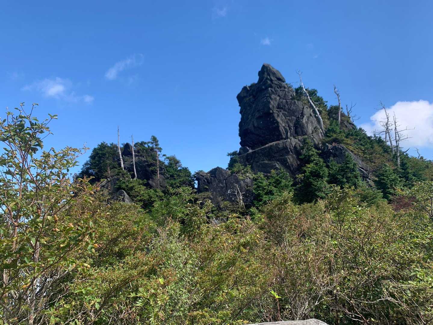 鯛の頭